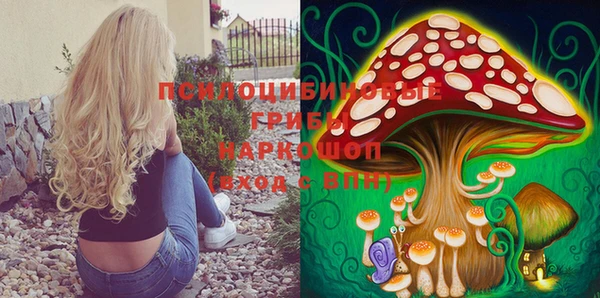 стафф Волосово