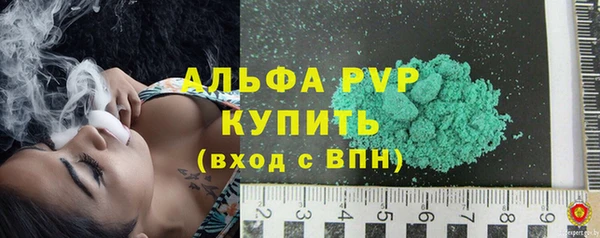 крисы Верхний Тагил