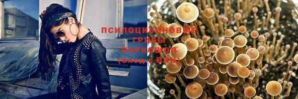 стафф Волосово